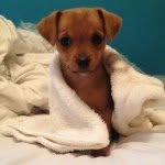 Teddy x - @ted_stock - Instagram