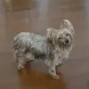 tedstockowski - @tedstockowski - TikTok