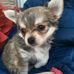 Teddy Stocker - Facebook