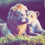 dr.Teddy Stoddard - @m57_ma - Instagram