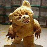 Ted The Stoner - @tedthestoner - Instagram
