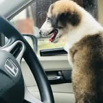 TEDSTONER - @tedstoner7 - Instagram