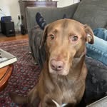 ted strand - @knifeman2025 - Instagram