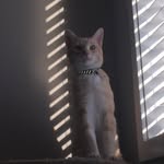 Teddy B. Stratton - @teddybstratton - Instagram