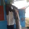 tedystrauss - @tedystrauss0 - TikTok