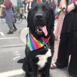Ted Stuart-Quigley - @tedwiththebighead2 - Instagram