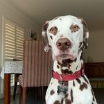 Ted Tate - @tedtate_ - Instagram