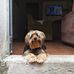 Ted Tedesco - Facebook