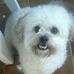 Ted Tedesco - Facebook