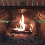 Ted Tedesco - @ted.tedesco.52 - Instagram