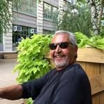 Ted Tedesco - @tedtedesco - Instagram