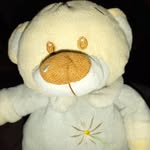 Ted Tedesco Souza - @tedtedesco05 - Instagram