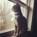 Ted - Theodore - Facebook