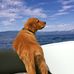 Ted Theodore - Facebook