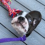 Ted Theodore Logan Esq - @ted_the_london__boston - Instagram