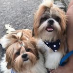 Ted e Tod - @ted.toddyy - Instagram