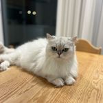 이정행 - @ted_tod_dam - Instagram