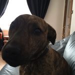 Ted Todd - @thetedtodd - Instagram