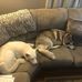Todd Traver - Facebook