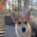 Theodore Treece - Facebook