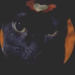 Ted Trost - @iyesha624066 - Instagram