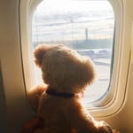 Eddy Truman O'brian - @_eddy_the_teddy - Instagram