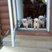 Ted Truman - Facebook