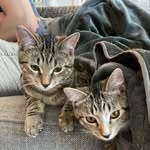 Truman and Teddy - @trumanandteddy - Instagram