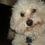 TeddyBear Turnipseed - Facebook