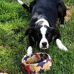 Ted Tussing - @ttussing - Instagram