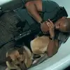 Ted Tyler - @tedtyler - TikTok