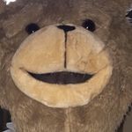 ted tyson - @ted_tyson - Instagram