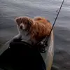 Ted tyson - @its.me.teddy101 - TikTok