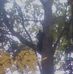 Ted Ulrich - Facebook
