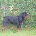 Ted Underhill - Facebook