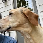 Ted Underhill - @underhill_teddy - Instagram