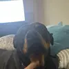 Tate Vander Laan - @tate.vander.laan - TikTok