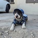 Ted Vargas - @the_tedv - Instagram