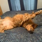 Ted Vaughan - @vaughan_ted - Instagram
