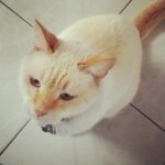 @ted_vega_ - Instagram