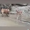 Todd Vestal - @todd.vestal - TikTok