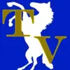 hjhftrua85h - @ted.vickers - TikTok