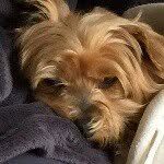ted vickers - @tedvickers1234 - Instagram