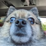 teddy vickers - @vickersteddy - Instagram