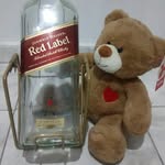 Ted - @ted_vidaloka - Instagram