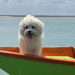 Ted - @tedvidal17 - Instagram