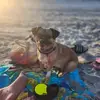Ted Vogel - @ted.vogel4 - TikTok