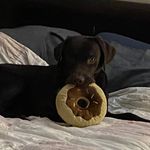 Teddy Vogel - @bigcheese.92 - Instagram