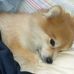 Teddy Freeman Wachs - Facebook