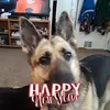 tedwahlsr - @tedwahlsr - TikTok